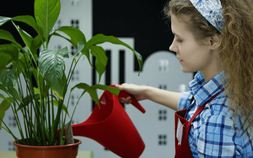 Leveraging Federal Tax Credits for Summer Youth Employment